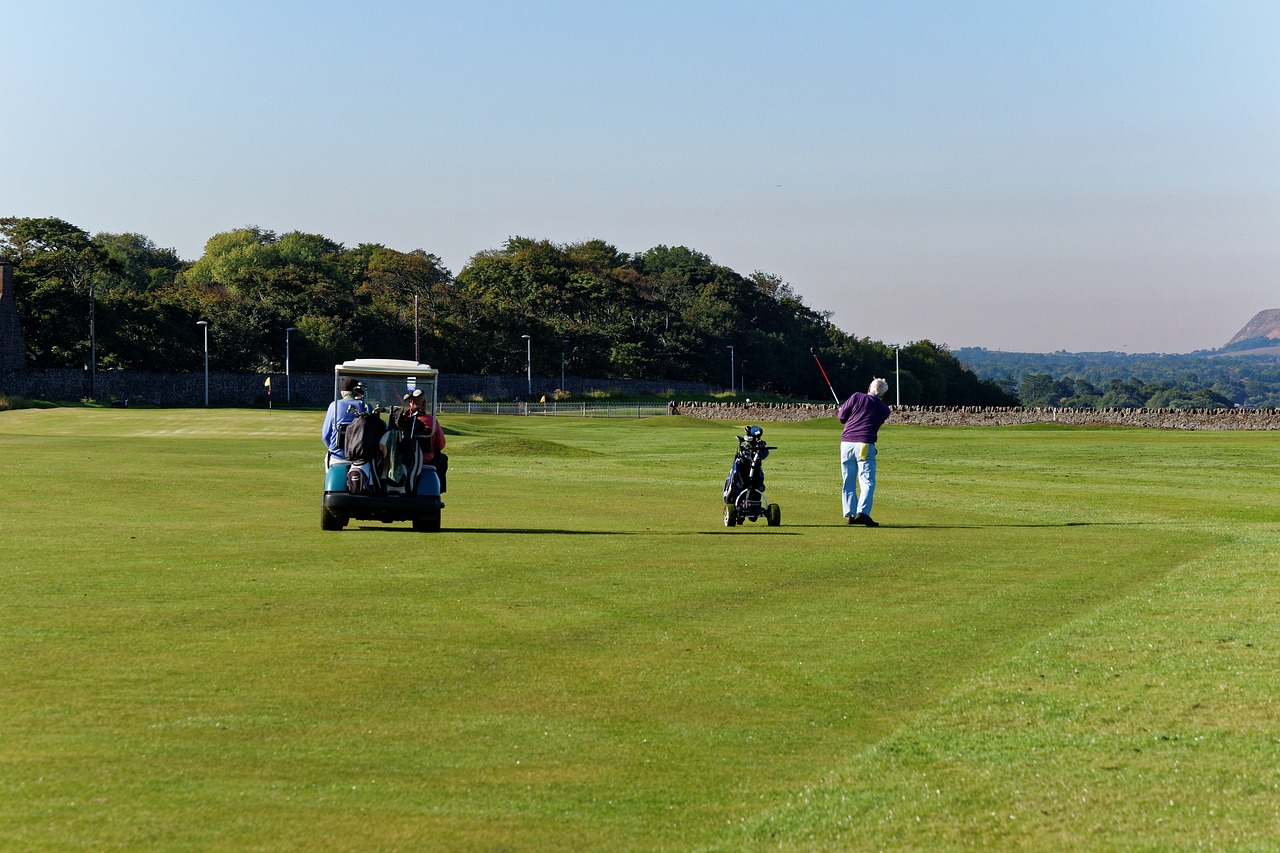 Laser247, Gold365, 11xplay