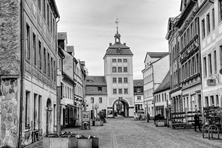 The Impact of Business Intelligence on Operational Efficiency